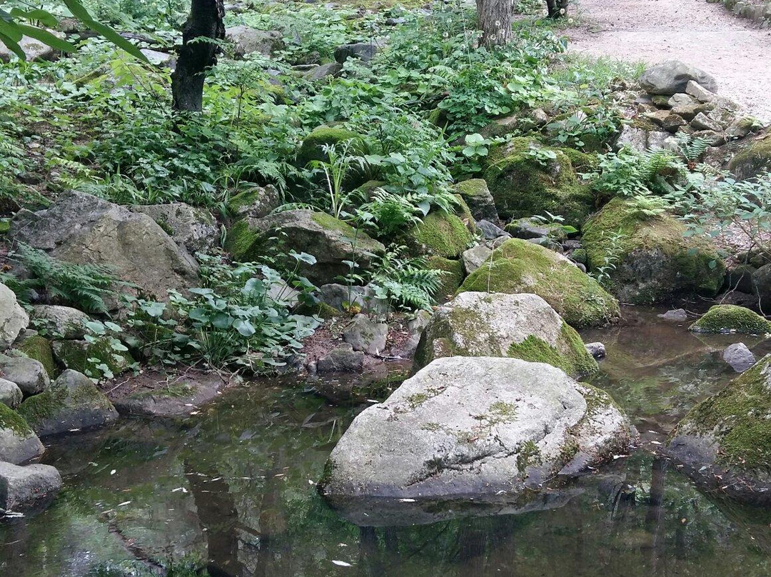 Pyunggang Botanical Garden-抱川市必去景点