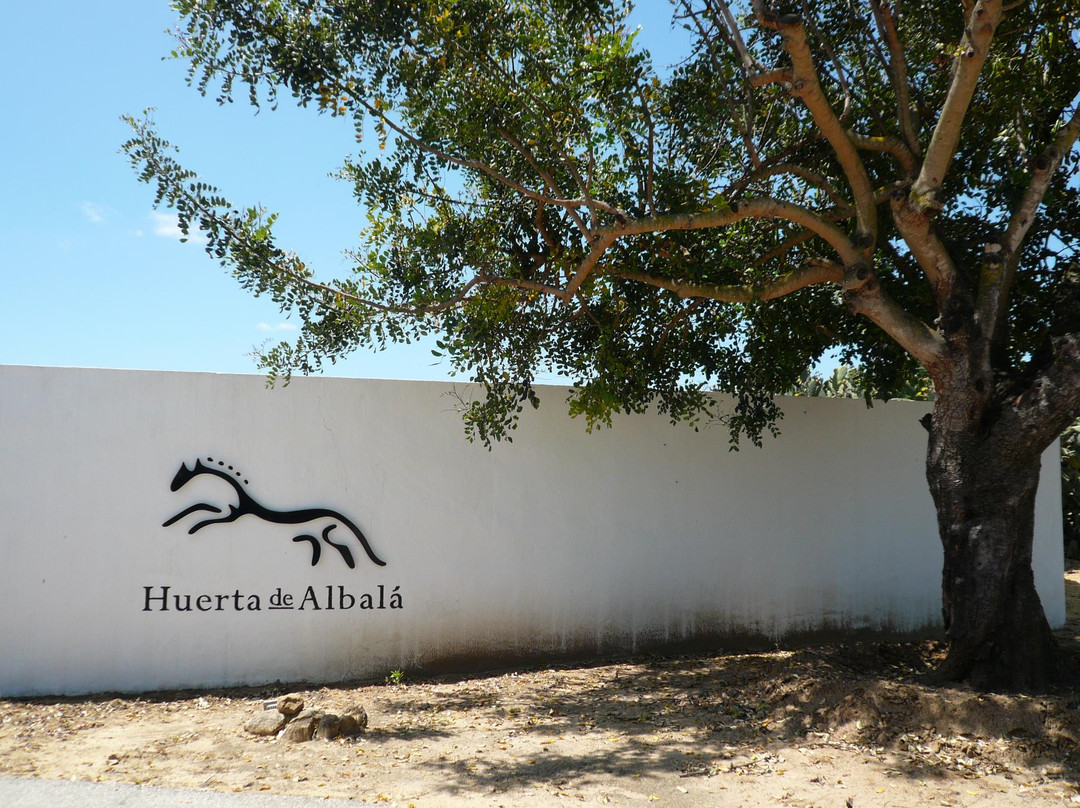 Huerta de Albalá景点图片