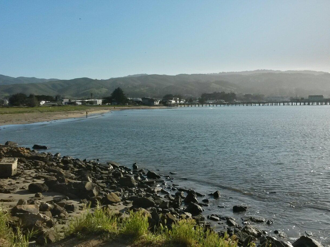 Mavericks Beach-半月湾必去景点