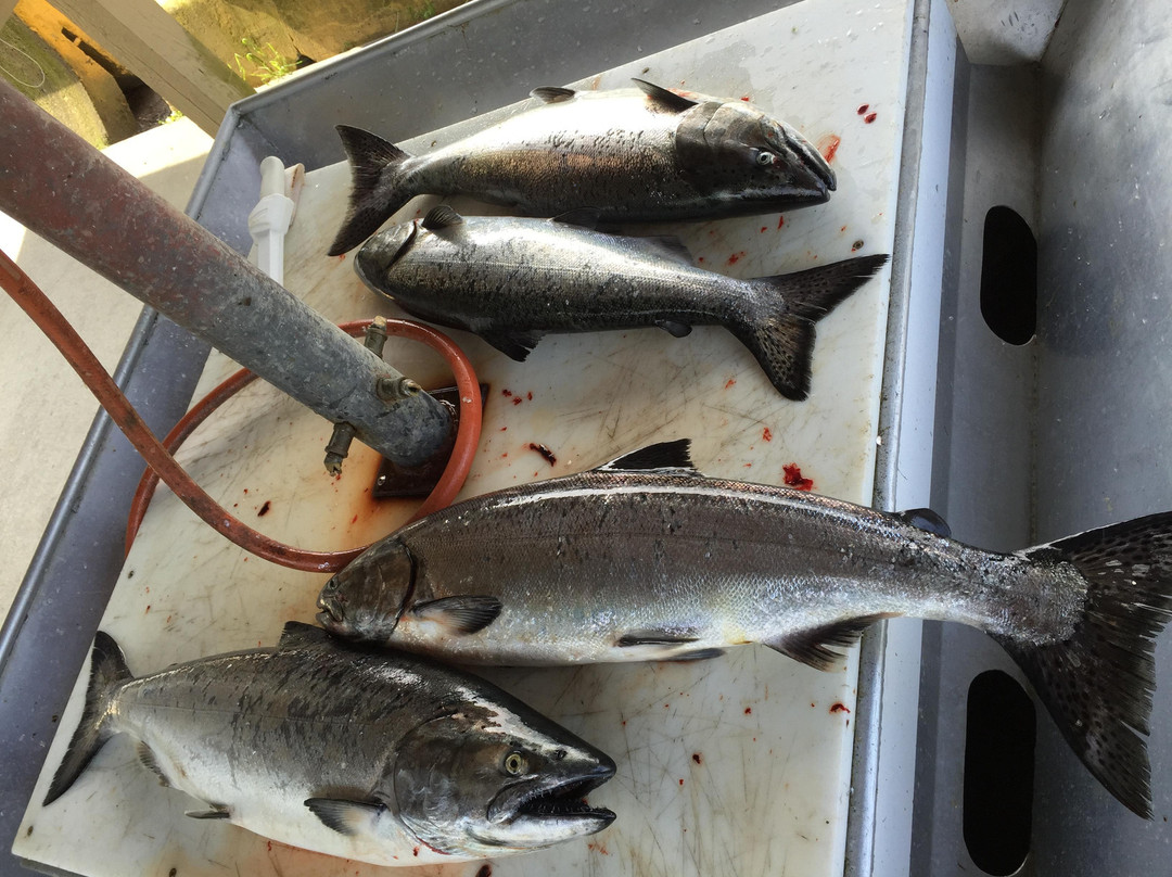 Unreel Fishing Charters-纳奈莫必去景点