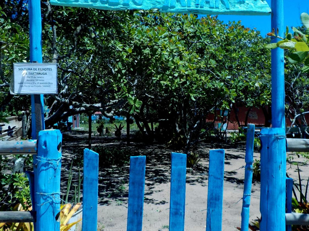 Pontal Do Ipiranga Beach景点图片