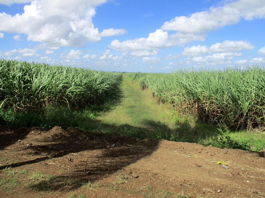 La Romana Province旅游攻略图片