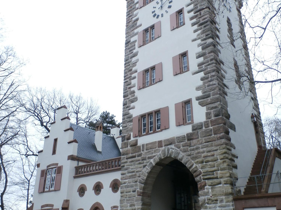 Porte St. Alban-巴塞尔必去景点