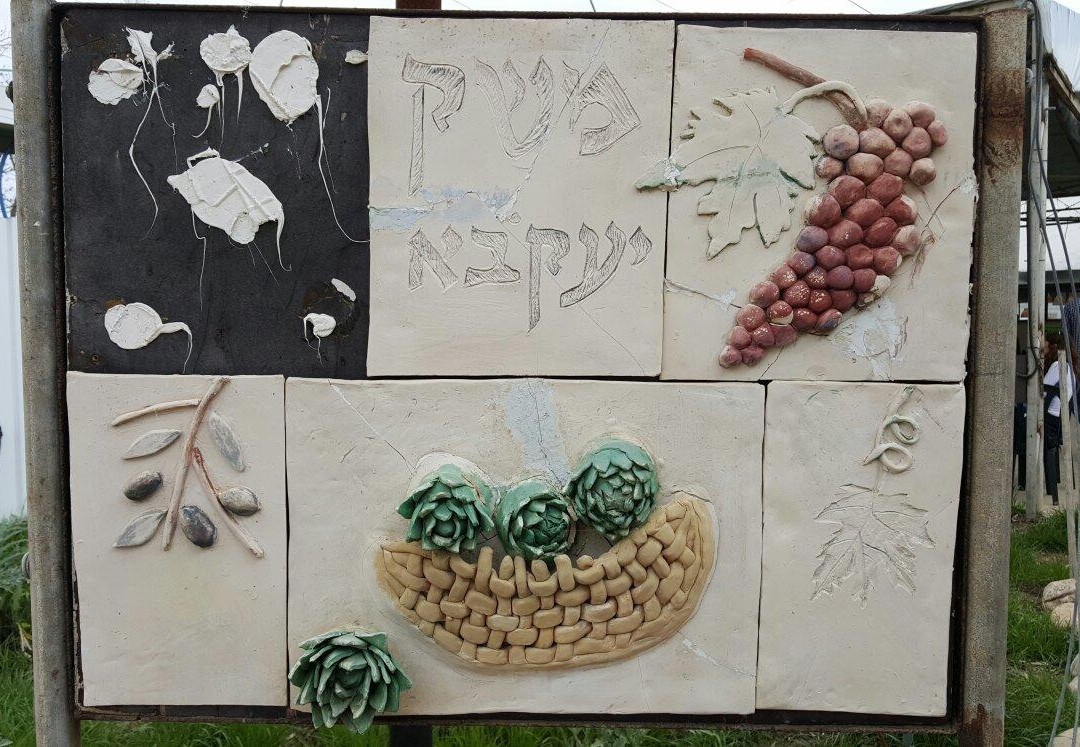 Noams' Artichokes-Kiryat Gat必去景点