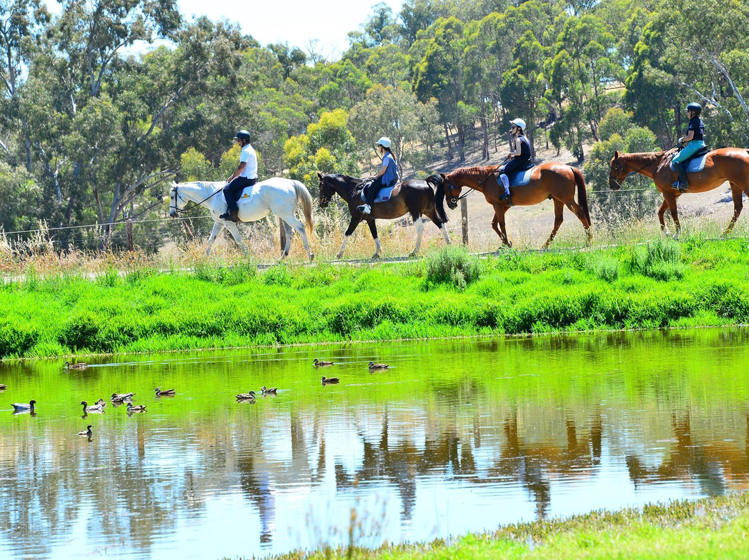 Kirby Park - Megan Jones Riding School景点图片