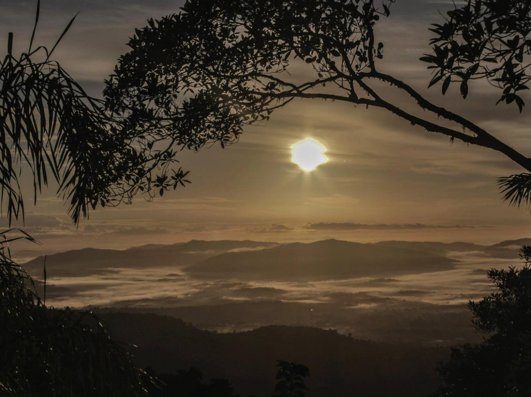 Serra Bonita Reserve-Camacan必去景点