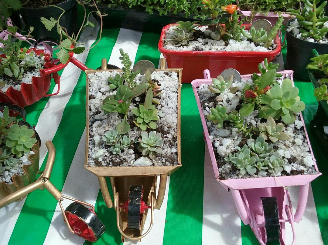 Feira de Artes e Artesanato-Pocos de Caldas必去景点