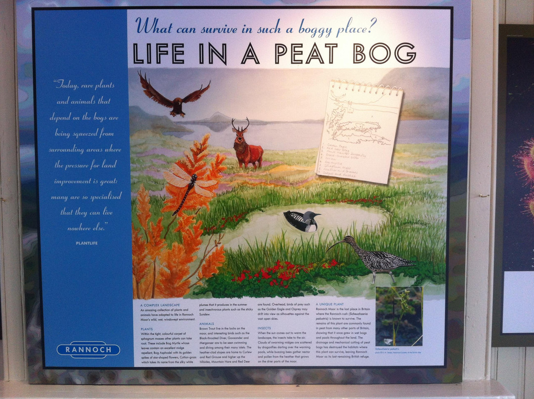 Rannoch Moor Visitor Centre-Kinloch Rannoch必去景点