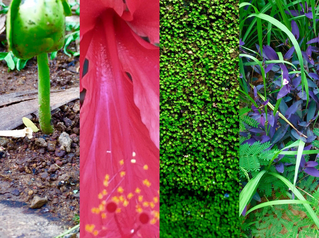 Sunset Beach-玛娜岛必去景点