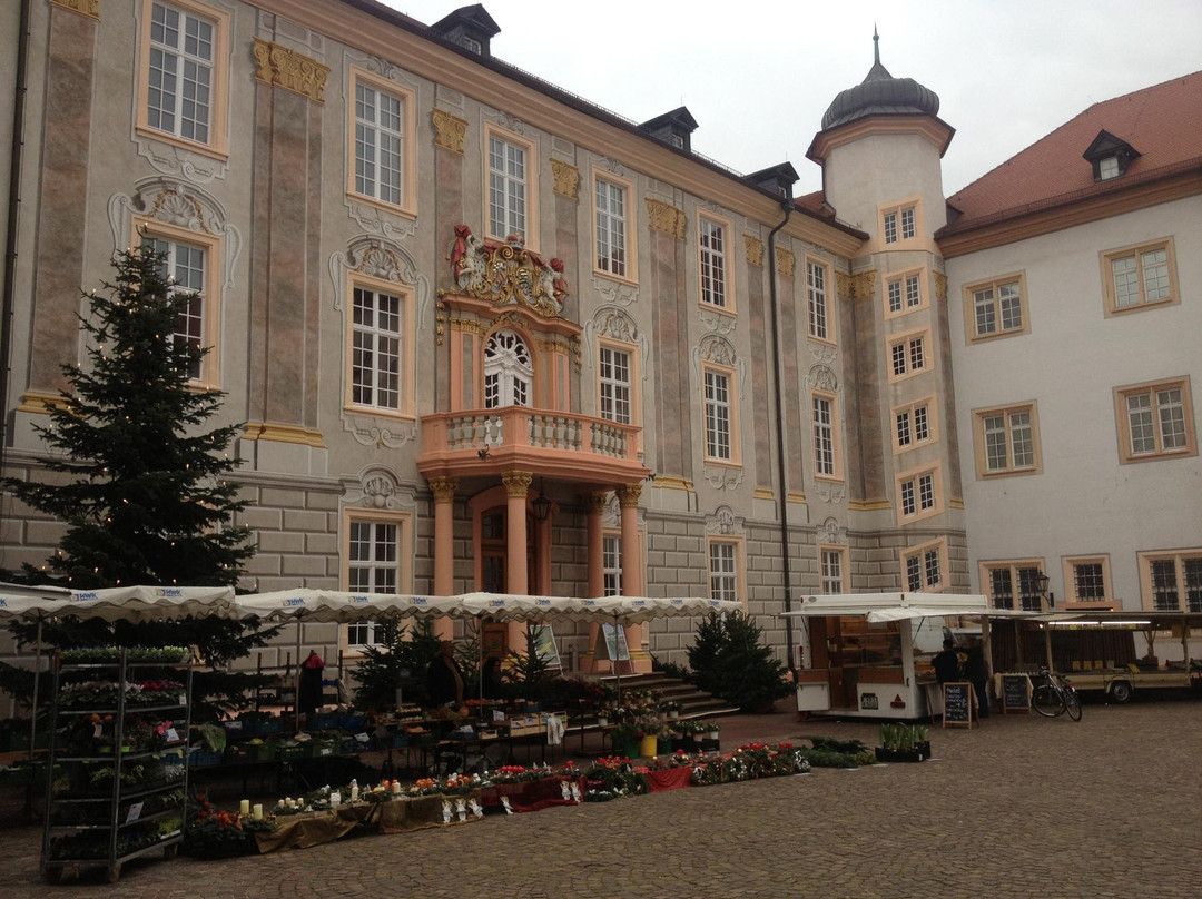 Museum Ettlingen景点图片