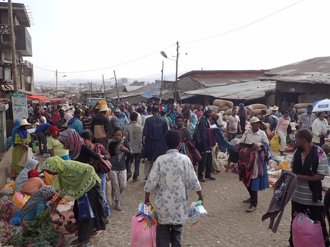 Afro Ethiopia Tour景点图片