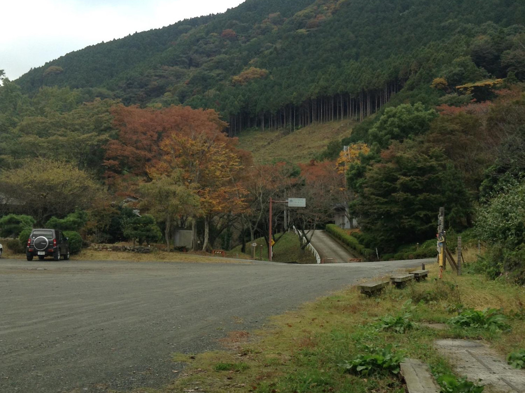 Kanagawa Prefecture 21st Century Forest-南足柄市必去景点