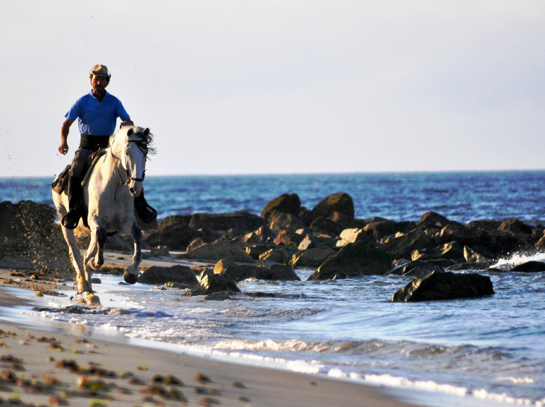 Aventuras Del Sur-塔里法必去景点