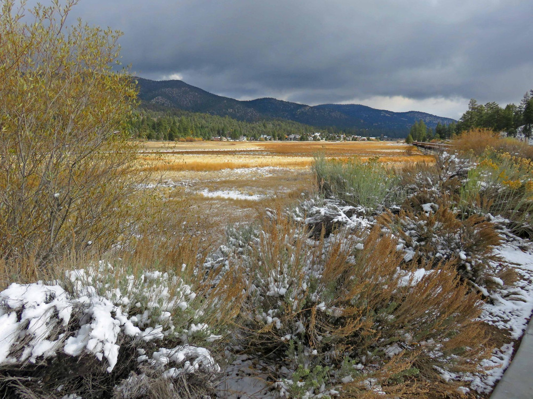 Stanfield Marsh Wildlife and Waterfowl Preserve-大熊湖必去景点