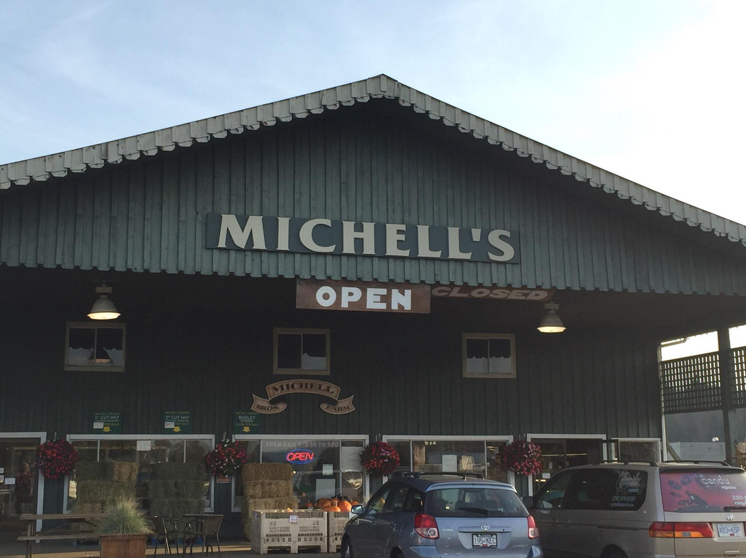 Michell Bros. Farm景点图片