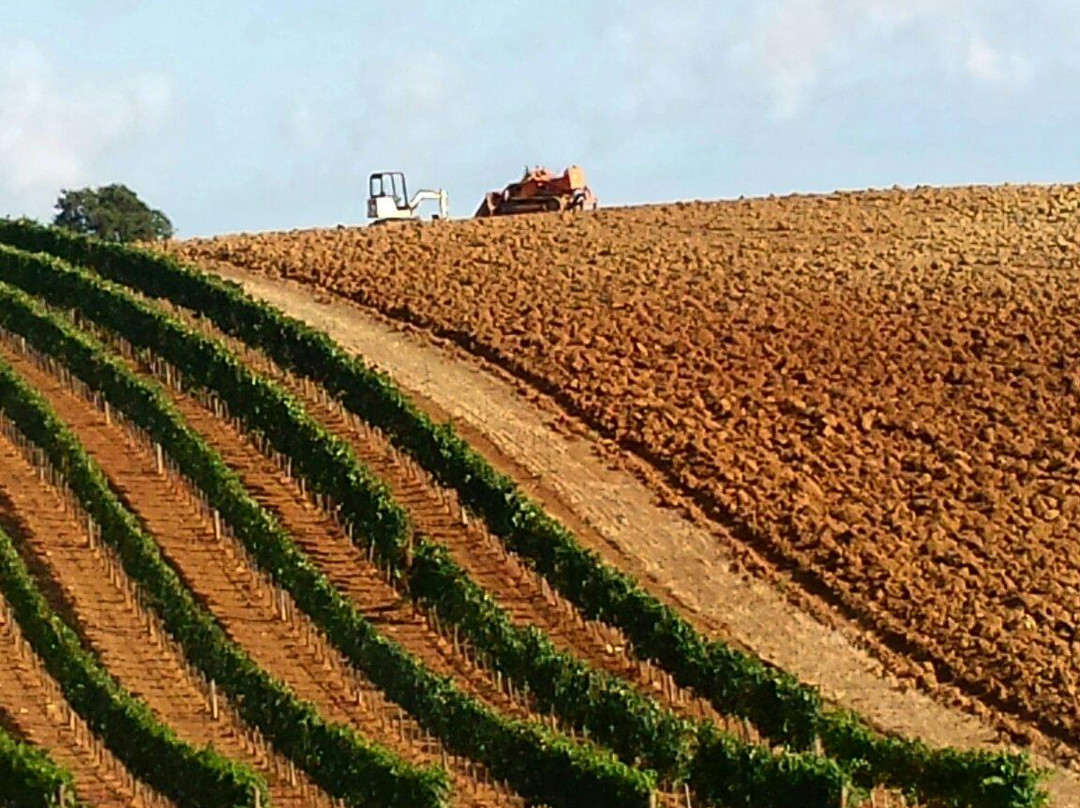 Agriturismo Severini
