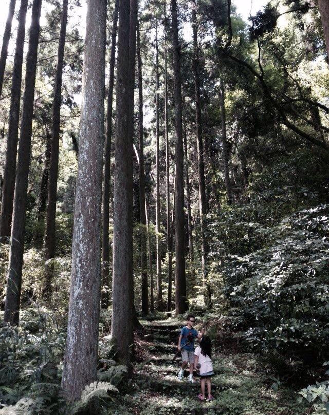 Mt. Otowa Kiyomizu Temple-夷隅市必去景点