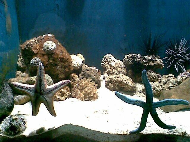 Ocean Adventure-苏比克湾自由贸易区必去景点