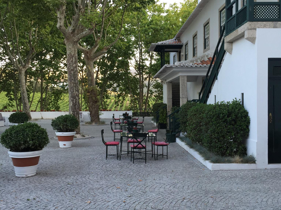 Quinta da Pacheca景点图片