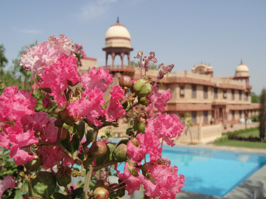 Rajasthan Motel主图