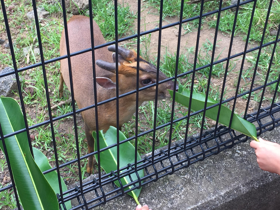 Hachijo Visitor Center-八丈町必去景点