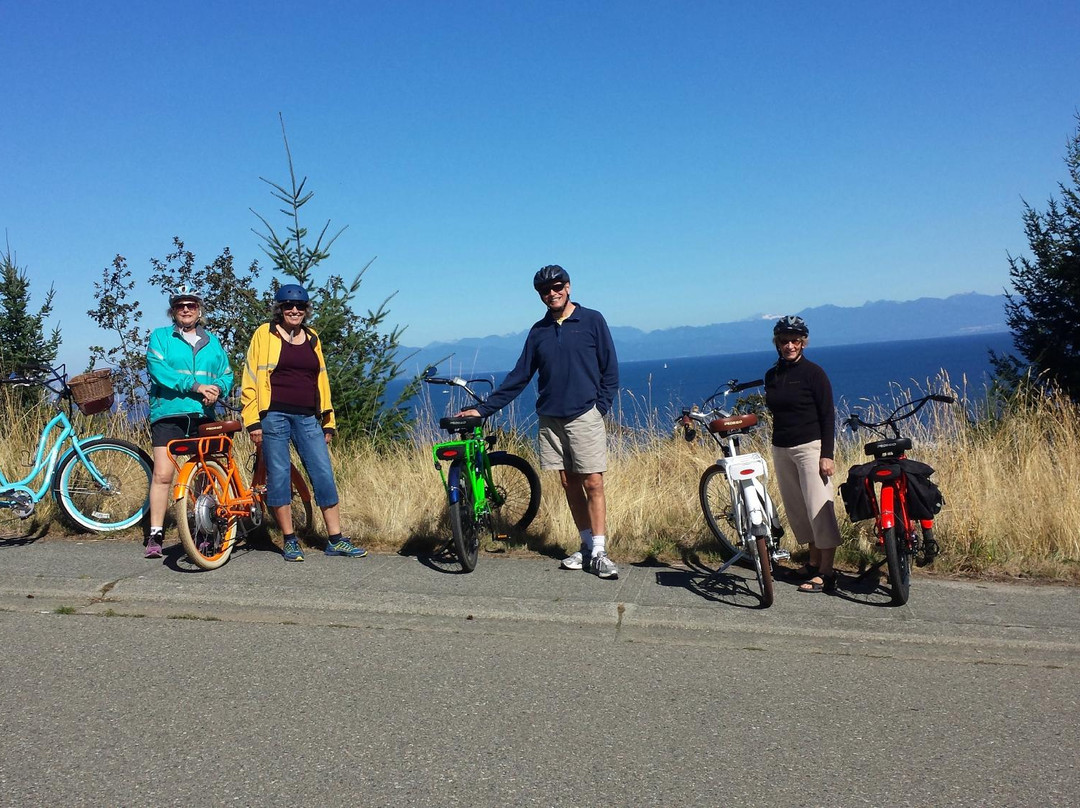 Pedego Electric Bikes景点图片