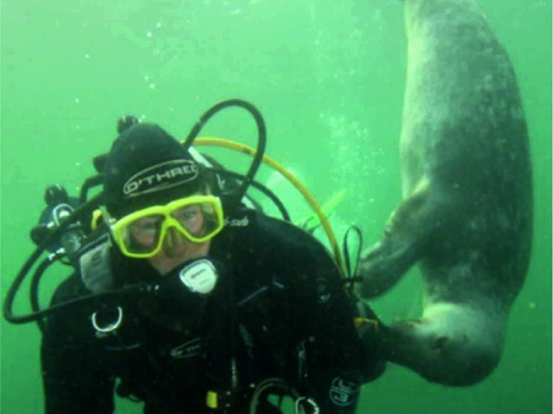 Discover Diving-Port St. Mary必去景点