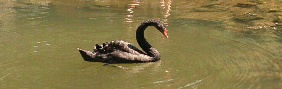 UNILIVRE Universidade Livre do Meio Ambiente-库里提巴必去景点