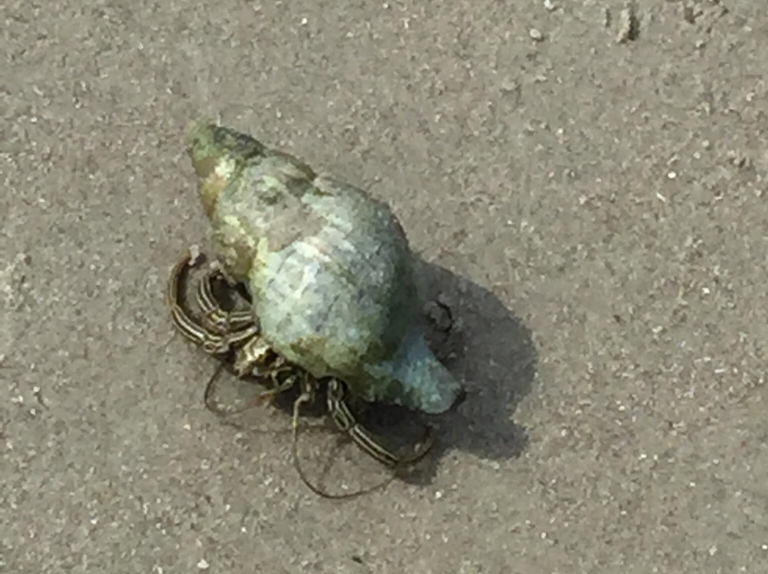 Windy Point Nautical Adventures-Holden Beach必去景点