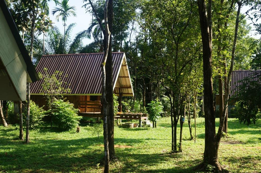 Khao Sok Jungle Resort