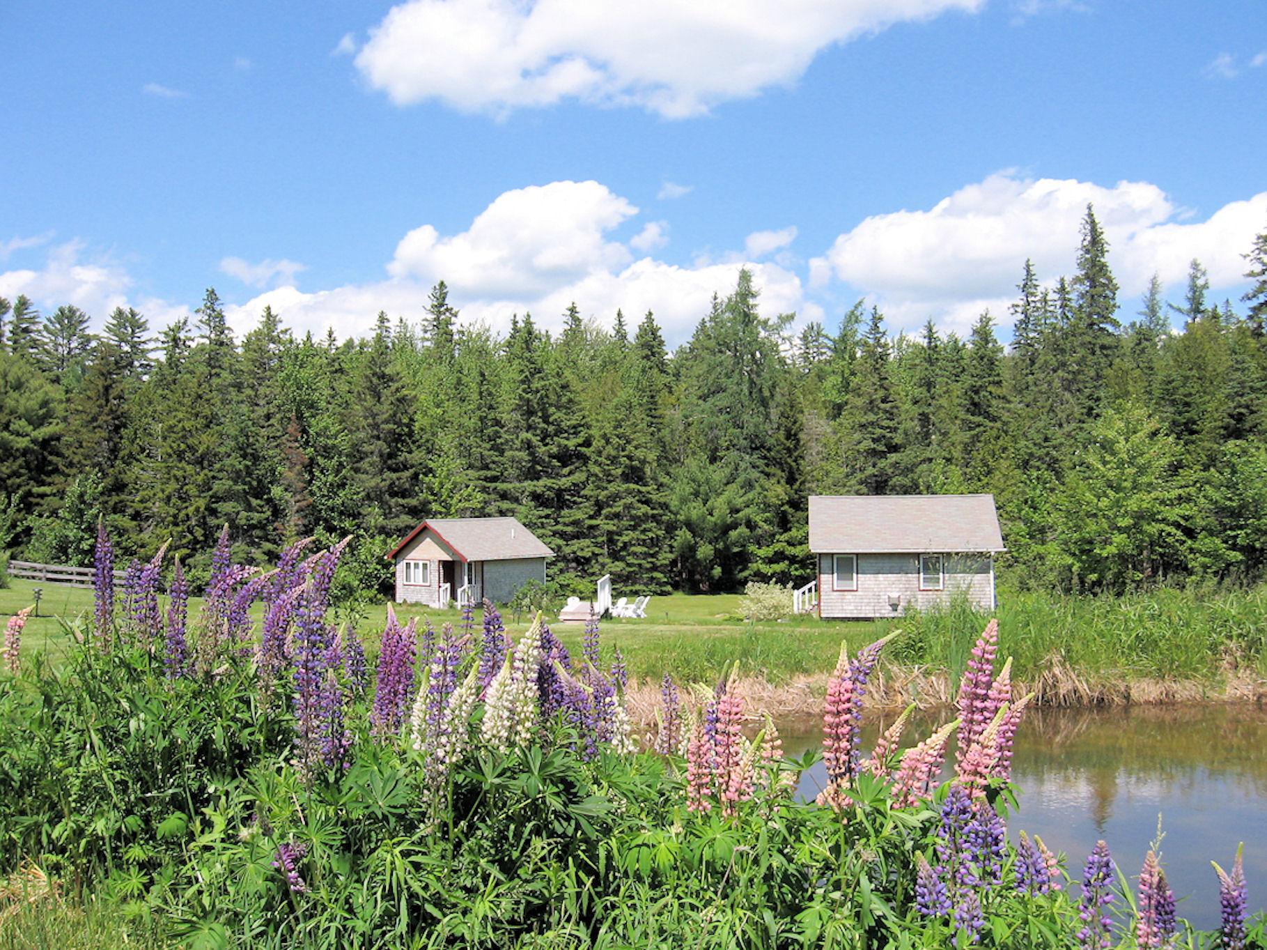 Sunrise Cottages-官方