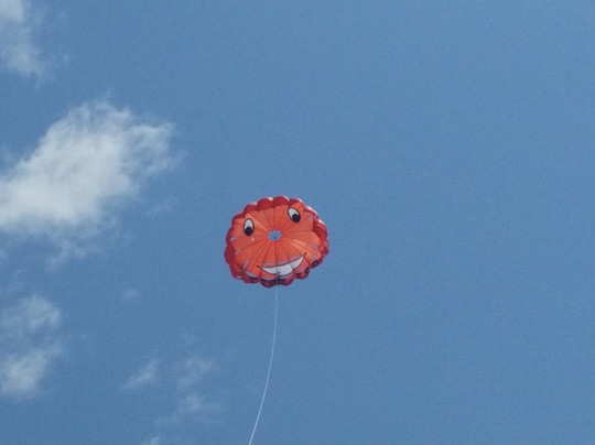 ABC Parasail-橙色海湾必去景点