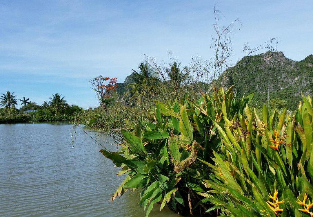 Jurassic  Fishing Park景点图片