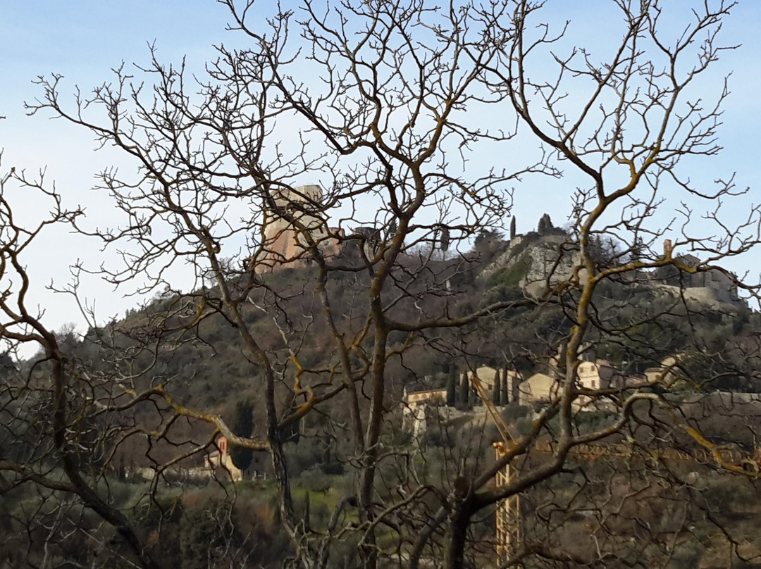 Agriturismo il Noce主图