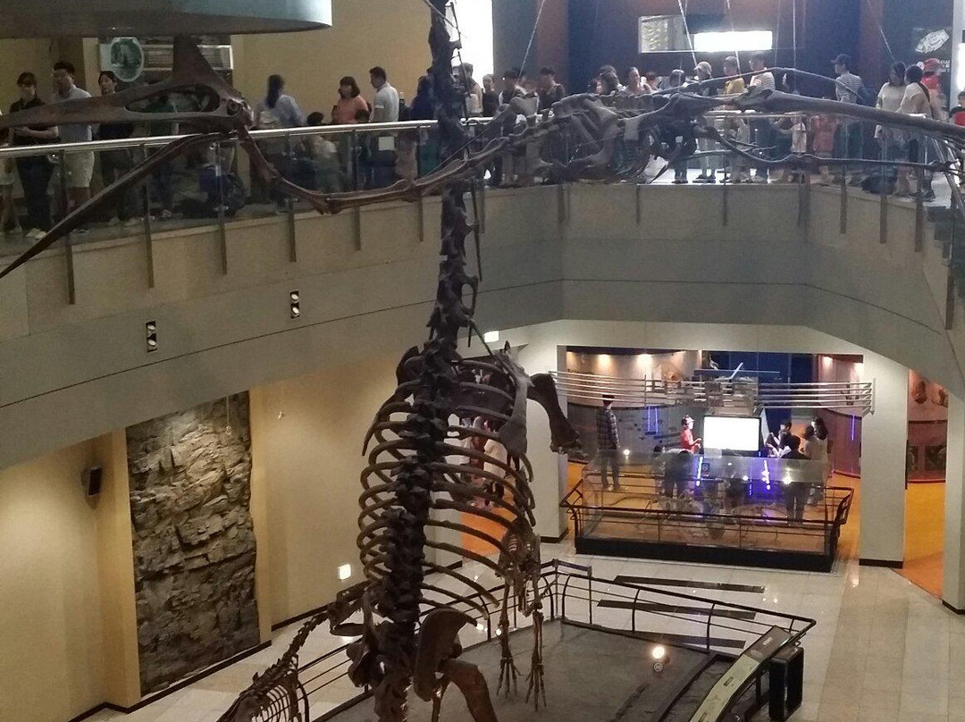 Goseong Dinosaur Museum-高城郡必去景点