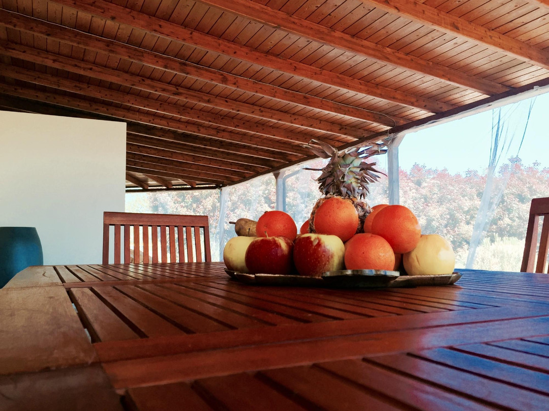 Country Wellness SPA景点图片