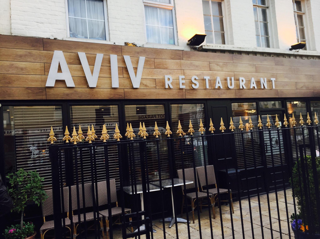 埃奇韦尔餐馆和美食-Aviv Restaurant