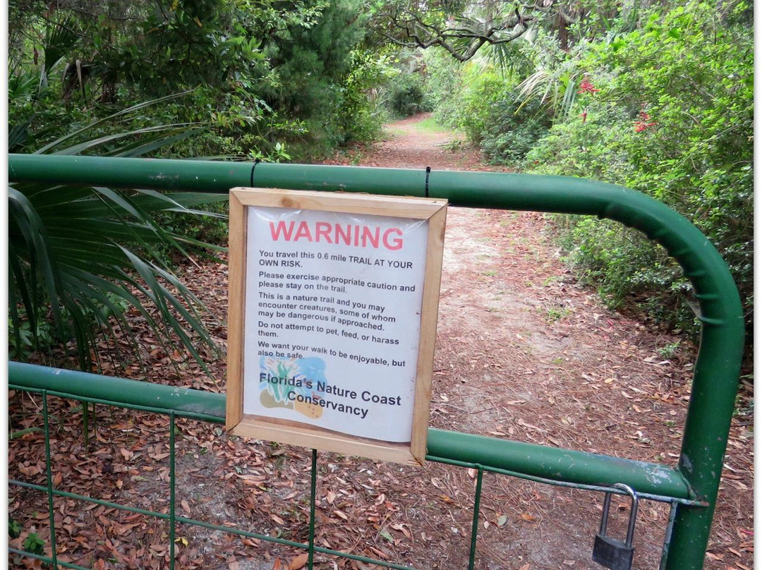 Cedar Key Railroad Trestle Nature Trail-锡达礁必去景点