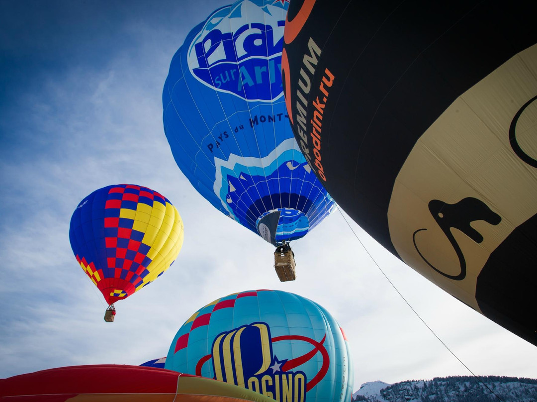 Alpes Montgolfière-Praz Sur Arly必去景点