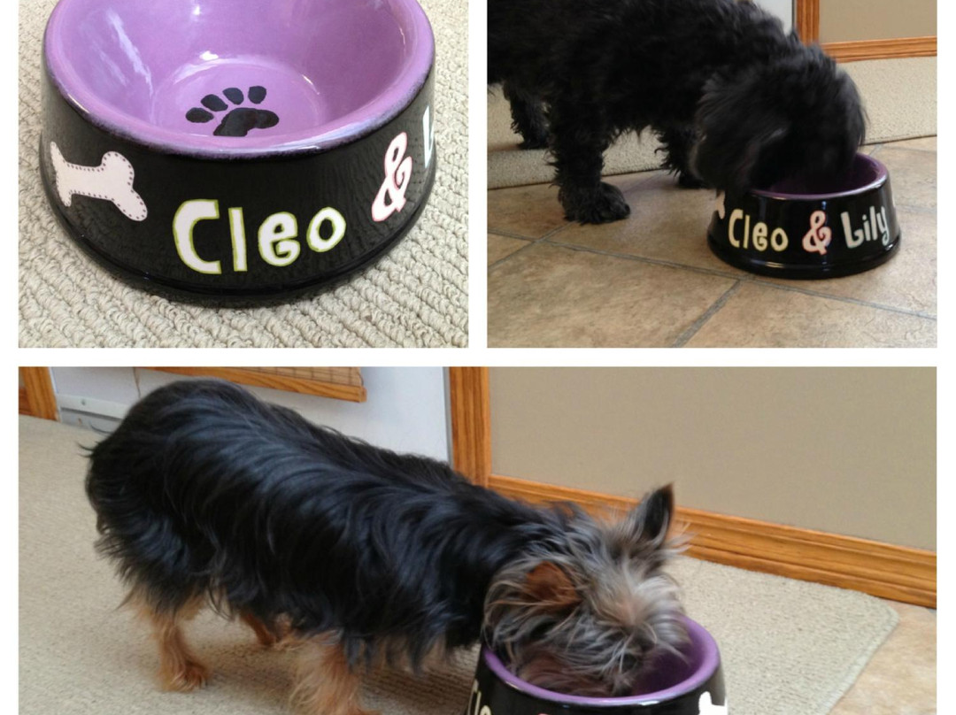 Clay Owl Studio-Winkler必去景点