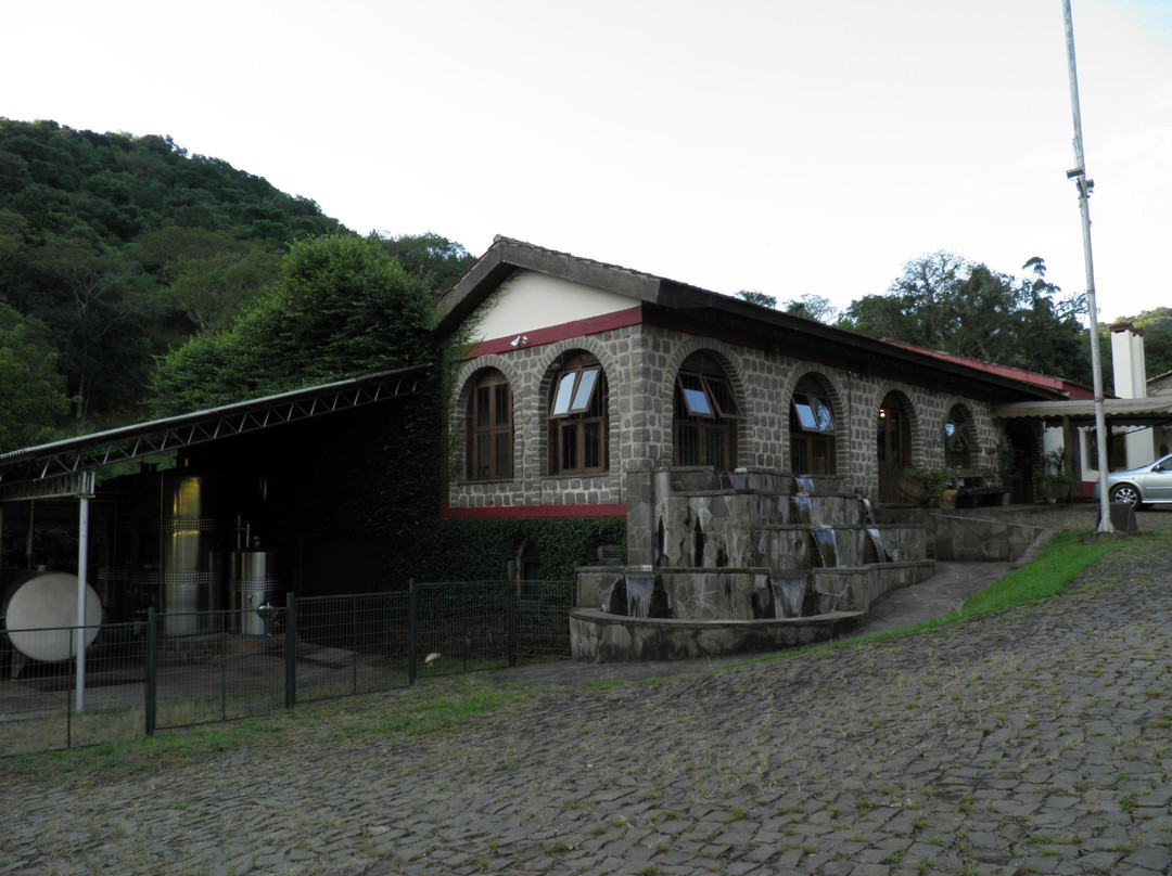 Vinícola Velho Amâncio景点图片