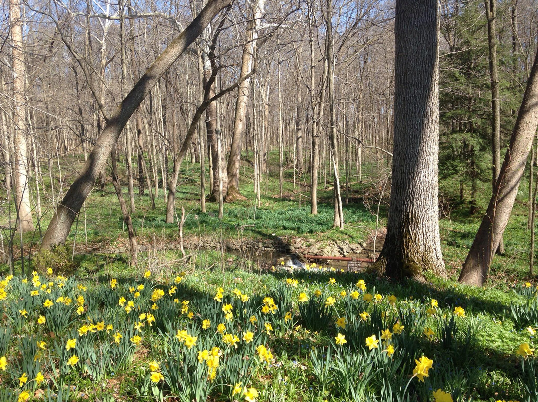 Aullwood Garden MetroPark-Englewood必去景点