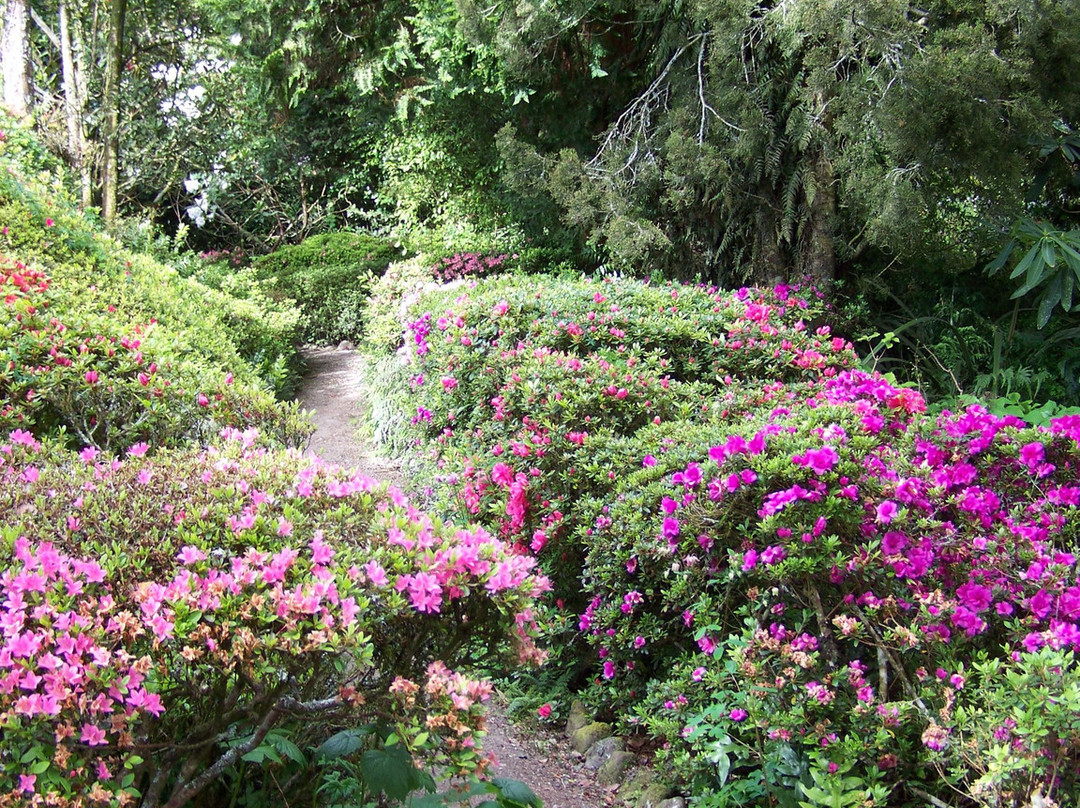 Hollard Gardens景点图片