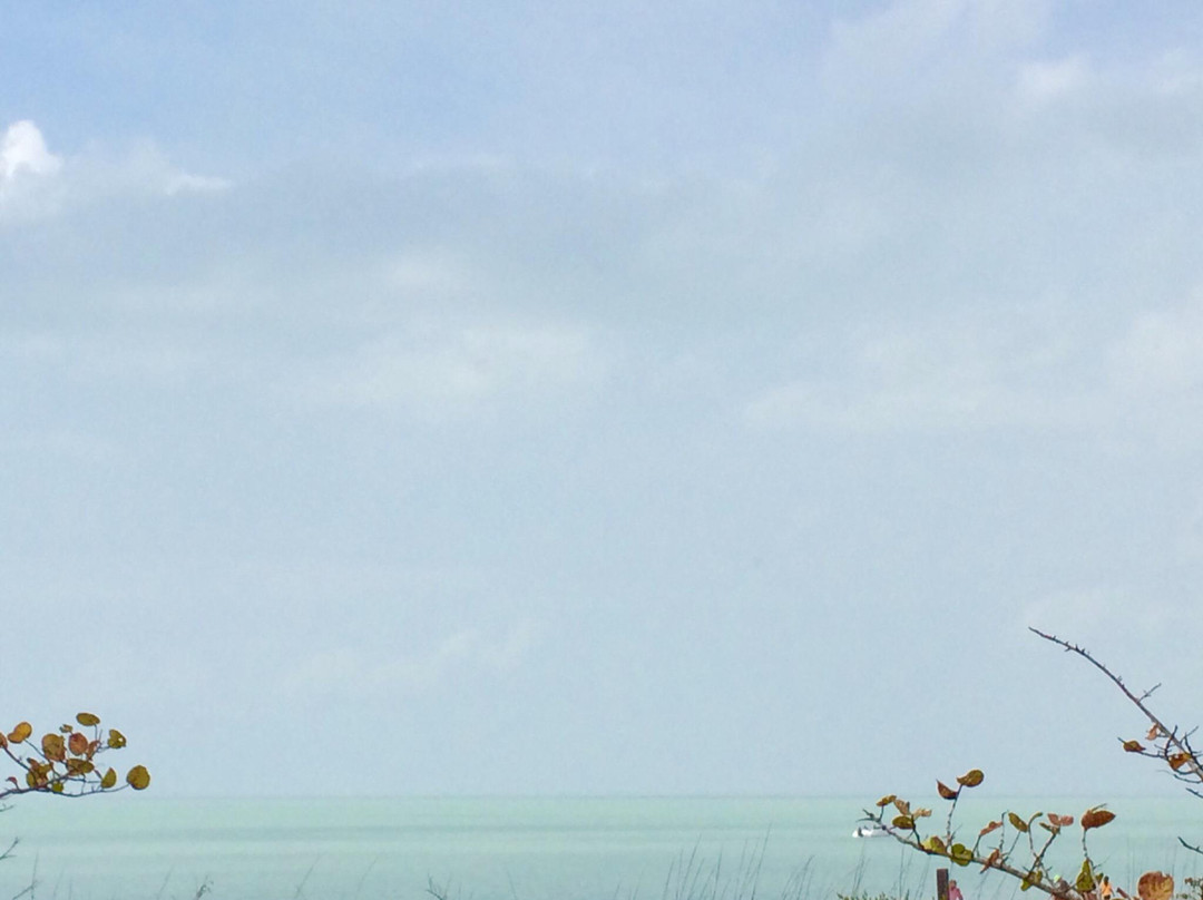 Barefoot Beach Preserve-博尼塔斯普林斯必去景点