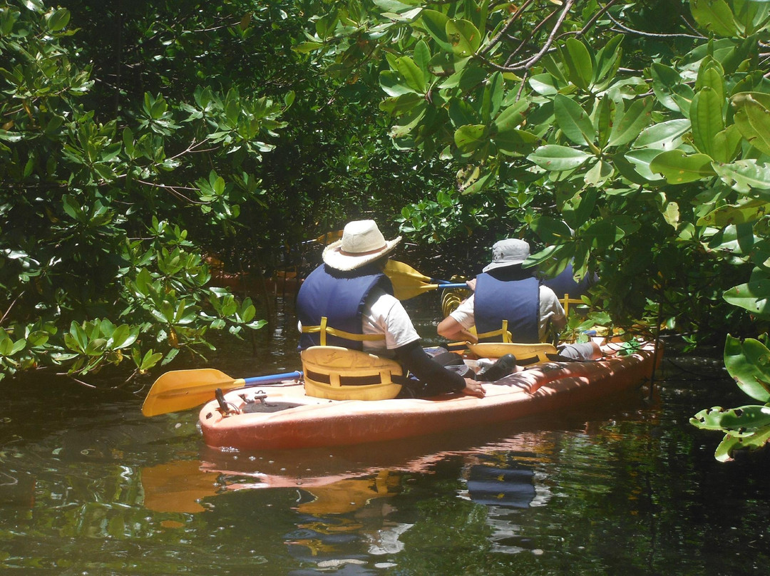 Island Kayaking Adventure-Ceiba必去景点