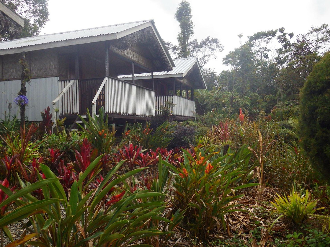 Magic Mountain Nature Lodge