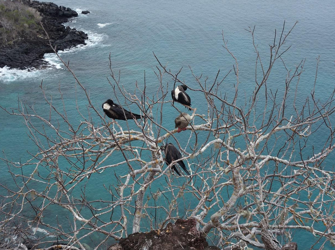 Mirador Cerro Tijeretas-圣克里斯托瓦尔必去景点