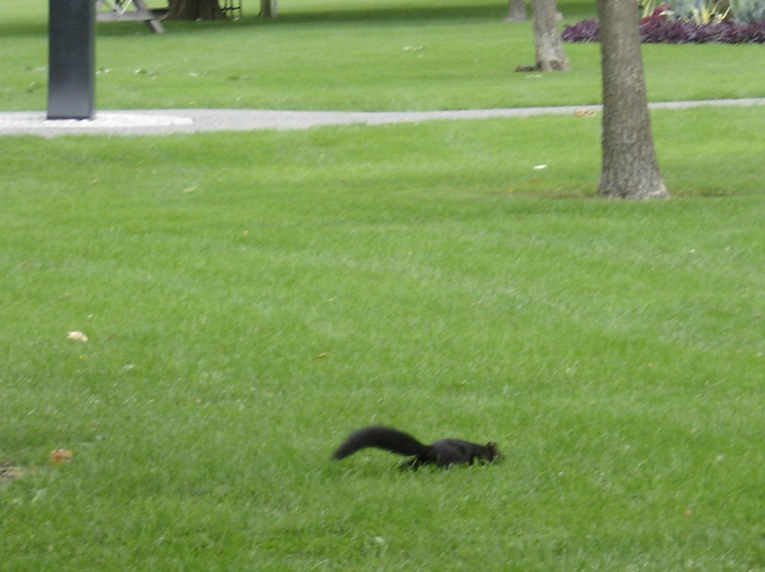 Assumption Park-温莎堡必去景点