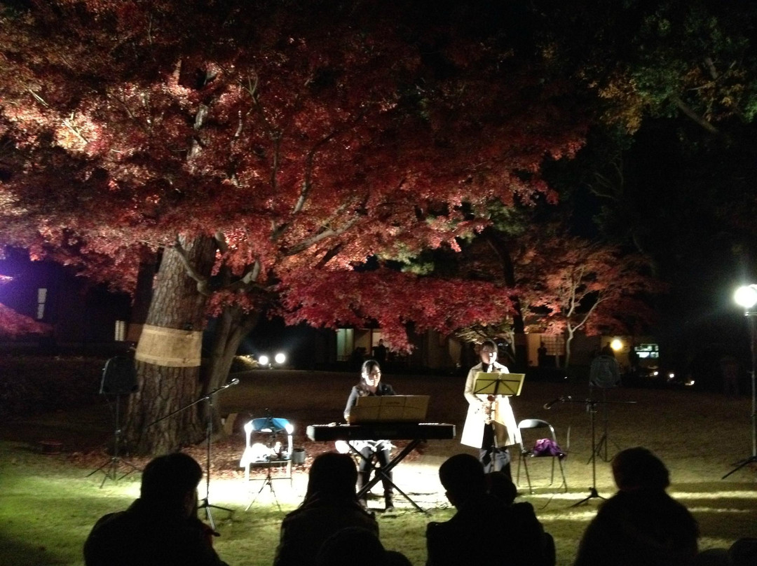 Ootaguro Park-Ogikubo必去景点