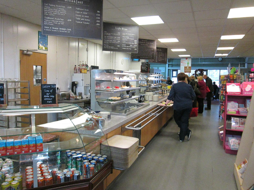 Allanfearn餐馆和美食-The Topiary Coffee Shop & Restaurant